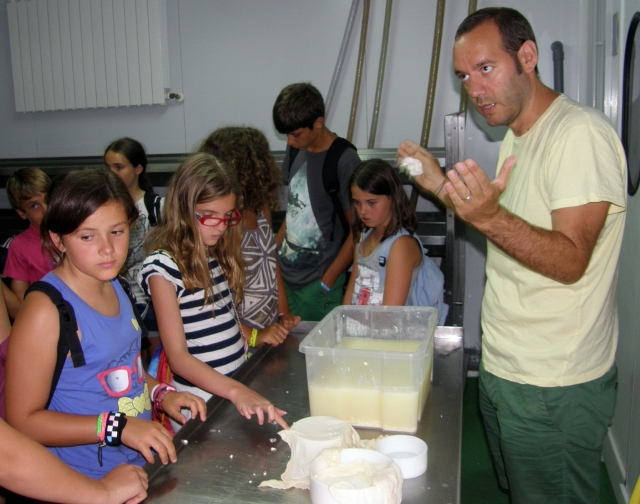  Workshops abhalten 